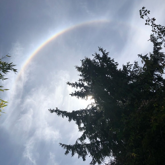 Meet the Posher! - Picture 1 of 4